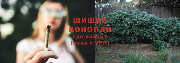 соль ск Надым