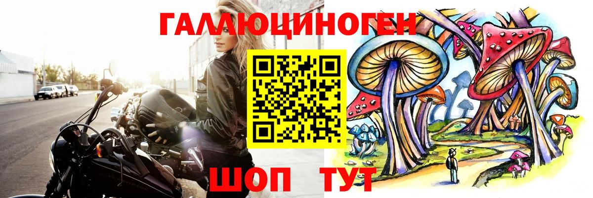 Галлюциногенные грибы прущие грибы  Люберцы  как найти   Псилоцибиновые грибы MAGIC MUSHROOMS 